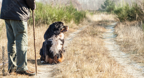 Mann und Hund wandern durch Sielmanns Naturlandschaft und machen Rast photo
