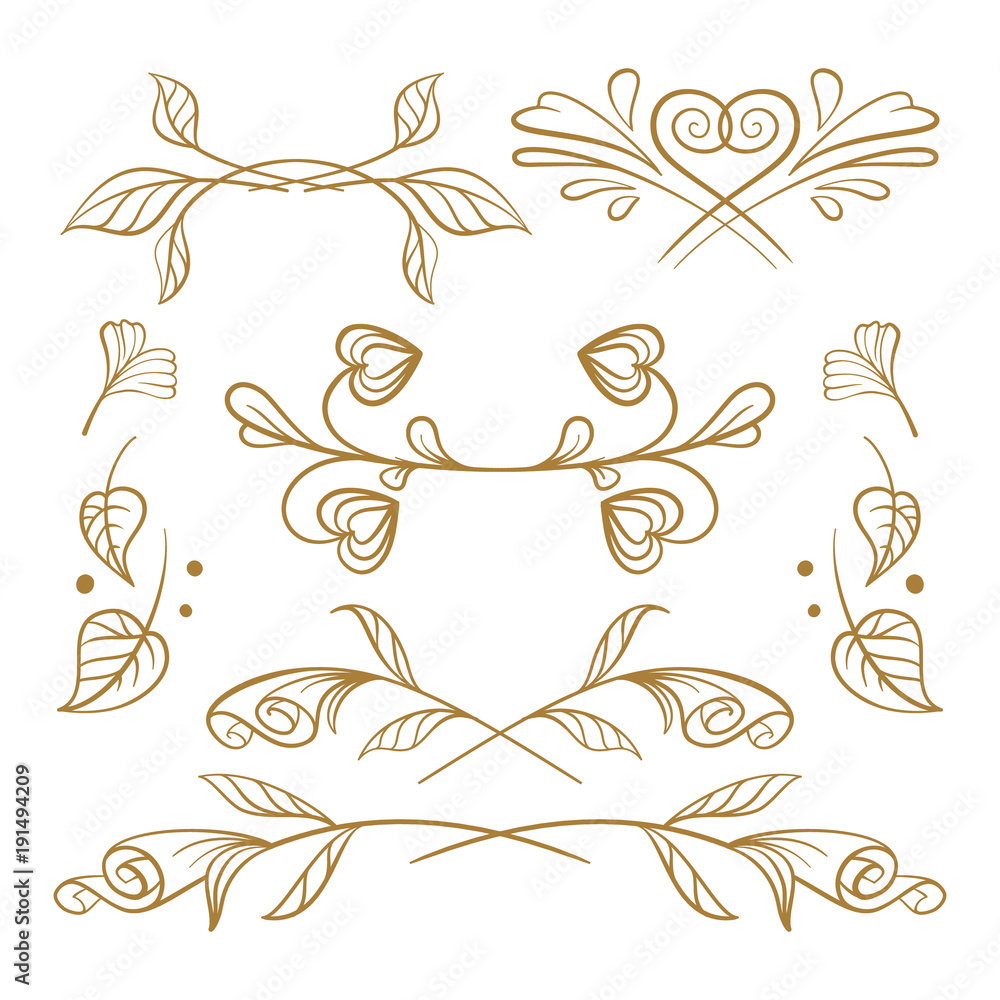 Vector hand drawn floral elements set. Vector hand drawn floral elements set.