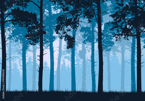 Vector illustration of a coniferous forest with trees and grass
