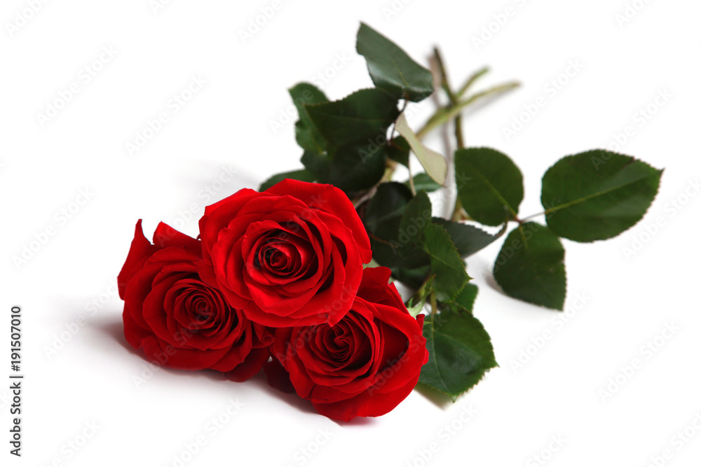 Rote Rosen Rote Rosen
