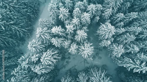 Aerial top down view of a forest in falling snow