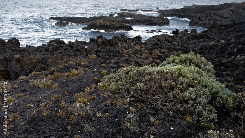 la Palma