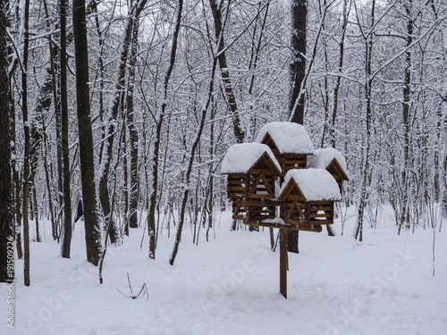 Forest bird feeders in the winter © Александр Шуршиков
