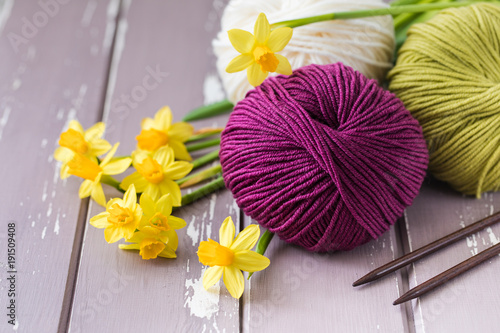 Spring colorful wool yarn with knitting needles and yellow daffodils