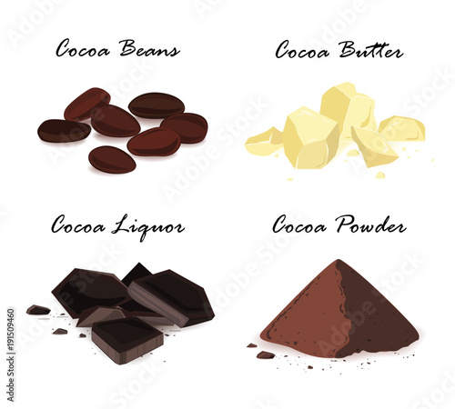 Cocoa products. Cocoa beans, cocoa butter, cocoa liquor and powder. Vector set.