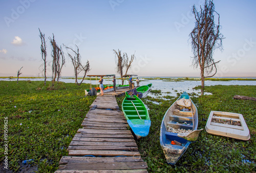 lake naivasha