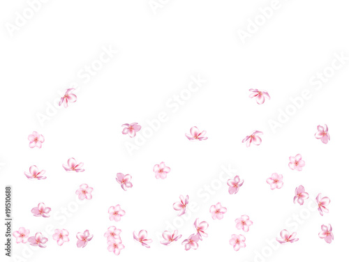 Flying Pink Cherry Blossom, Realistic Vector Background. Beautiful Sakura Soft Romantic Illustration. Wedding Decoration, Flying Pink Cherry Blossom, Love Magic Design. Cool Showering Blooming Sakura