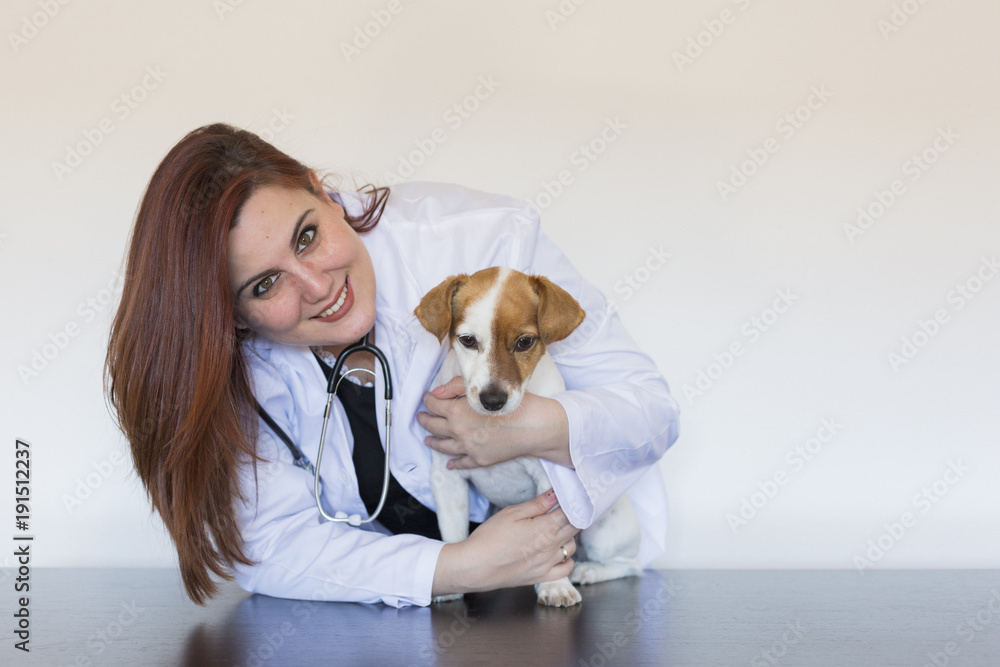 Portrait of a young veterinarian woman examining a cute small dog by using stethoscope, isolated on white background. Indoors