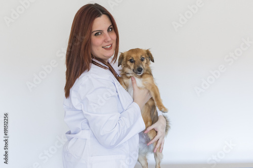 Portrait of a young veterinarian woman examining a cute small dog by using stethoscope, isolated on white background. Indoors