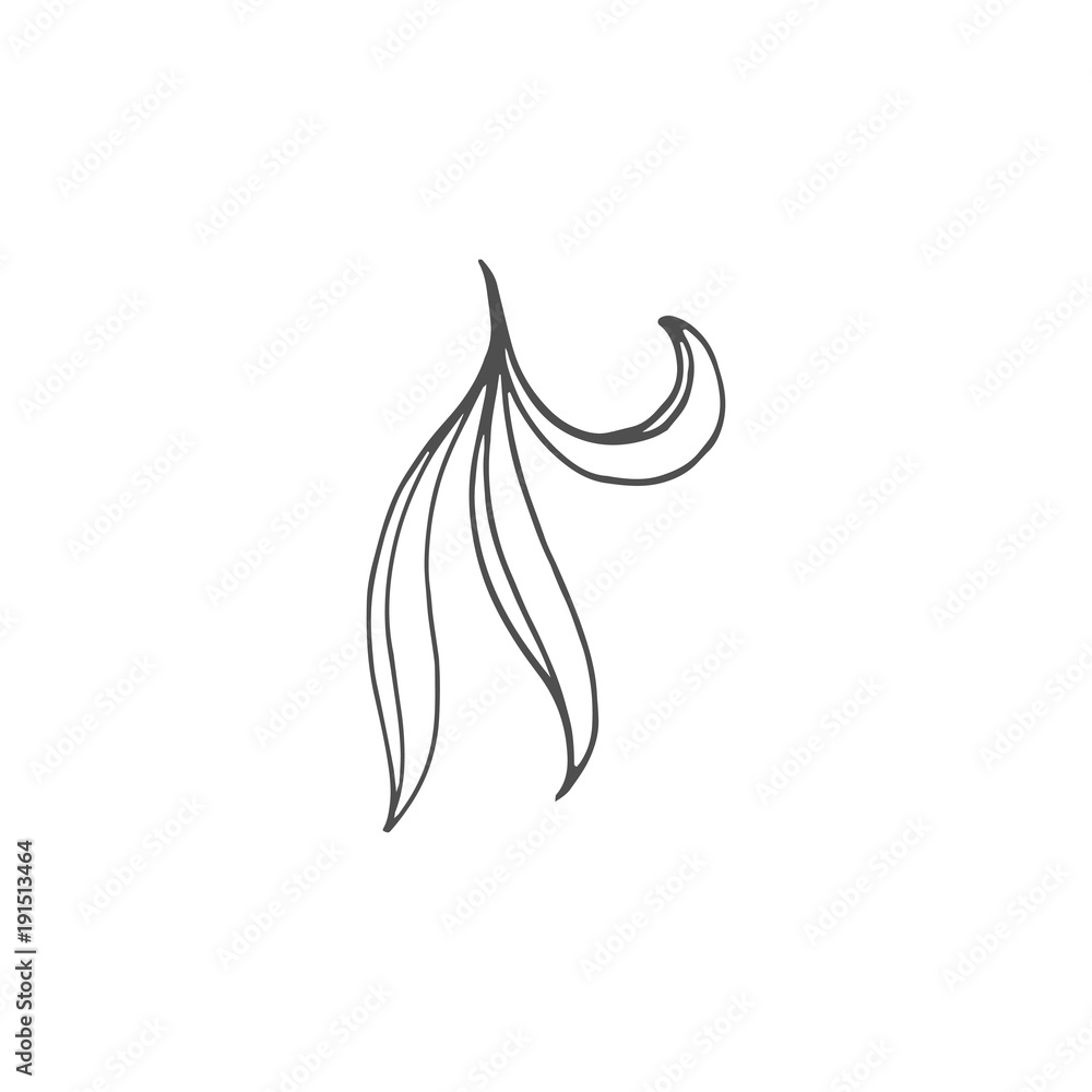 leaf vector draw