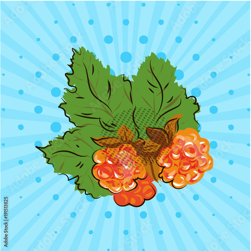 Ripe cloudberry with yellow orange berries on blue background,lines,dots.Vector illustration.Hand drawn in style pop art