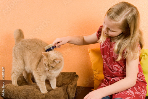 Mädchen bürstet rote Hauskatze