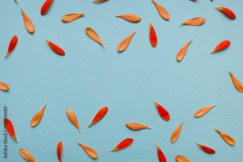 Light blue background floral pattern. Light blue background floral pattern.