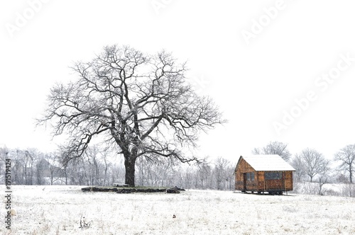 winter landscape   © oljasimovic