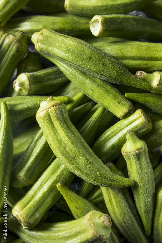 Raw Green Organic Okra Vegetables Raw Green Organic Okra Vegetables