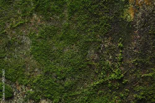 photo background texture