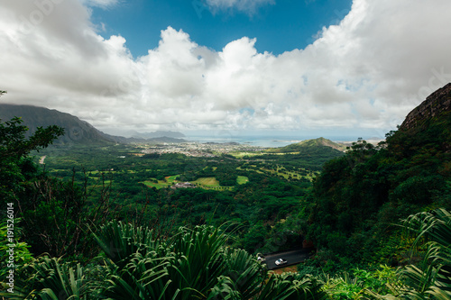 Hawaiian Mountain View