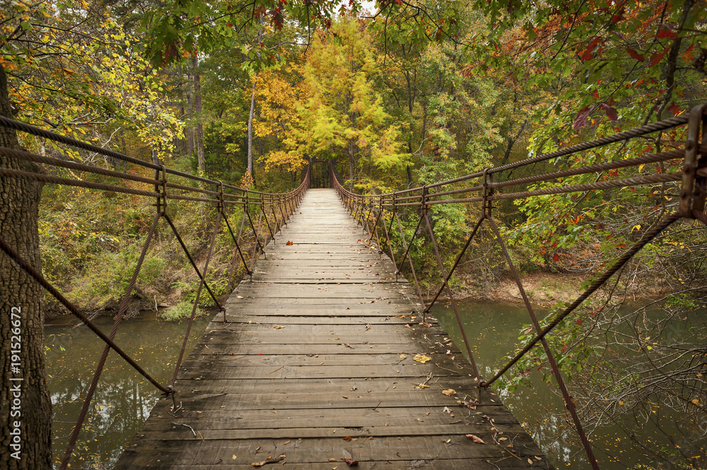 Obraz premium The Swinging Bridge