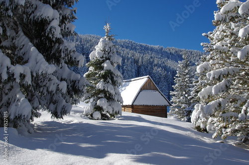 Fototapeta Naklejka Na Ścianę i Meble -  Chatka na Rusinowej Polanie Zimą