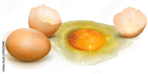Chicken eggs broken and whole
