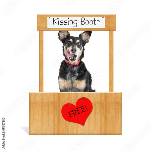 Fototapeta Naklejka Na Ścianę i Meble -  Funny Dog Kissing Booth