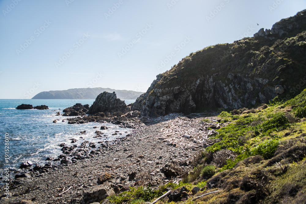 Landscape view of a coast in New Zealand during spring. Landscape view of a coast in New Zealand during spring.