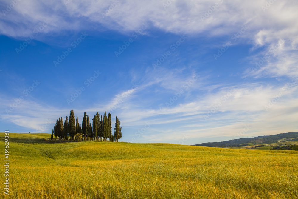 Tuscan landscape, fields and meadows on a warm sunny day