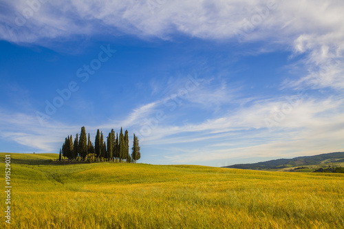 Tuscan landscape, fields and meadows on a warm sunny day