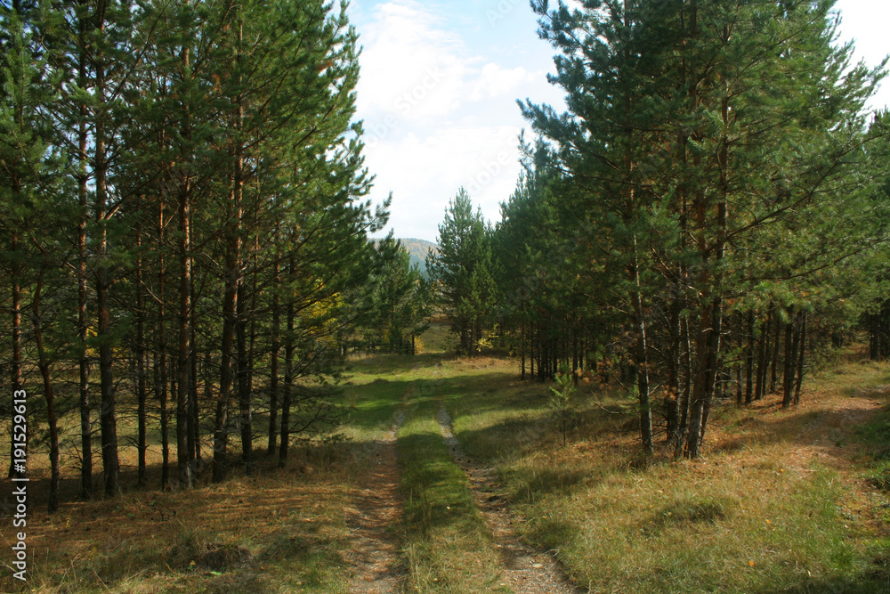 Autumn landscape Autumn landscape