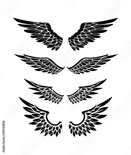 Illustration Of Wings Collection Set