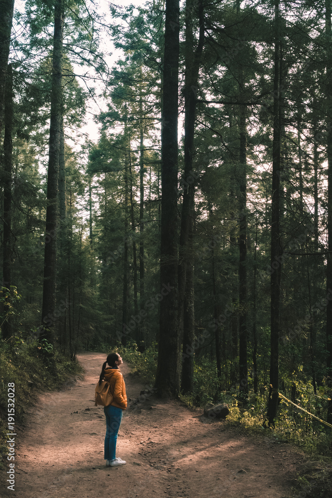 Obraz premium girl in the forest