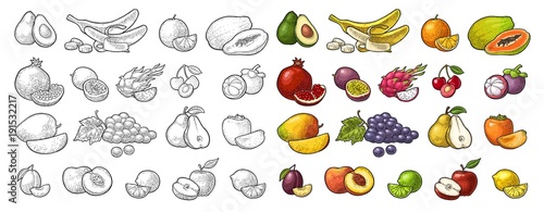 Set tropical fruits. Vector black vintage engraving isolated on white
