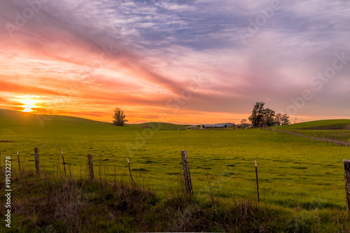 A green pasture land with a dairy farm at sunset. A fence is in the foreground. Trees on the horizon. A dramatic sky of red  yellow and magenta clouds has the sun setting on the left. 