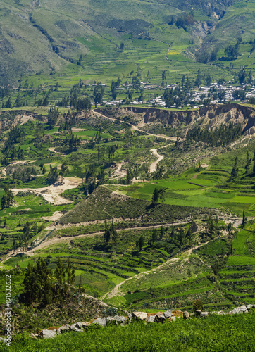 Colca Valley  Arequipa Region  Peru