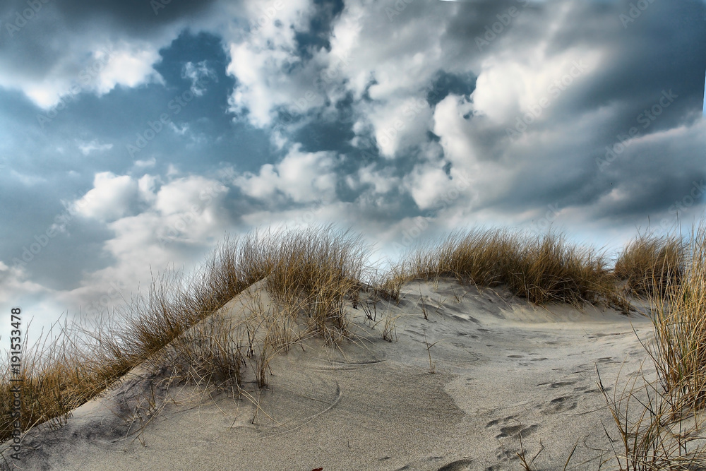 Sand dune created by nature on the territory of the national Park Sand dune created by nature on the territory of the national Park