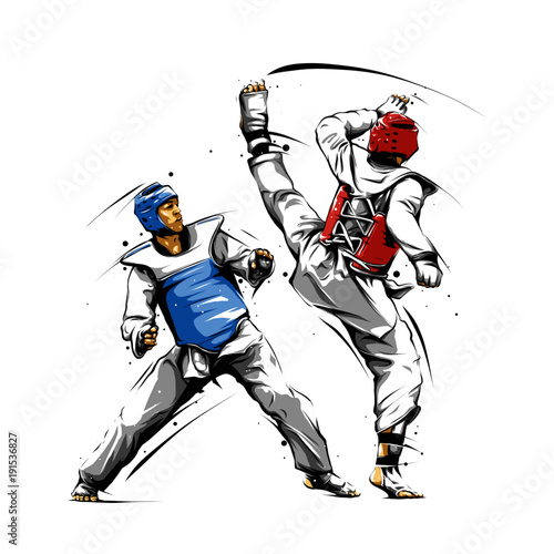 Stampa su tela taekwondo action 3