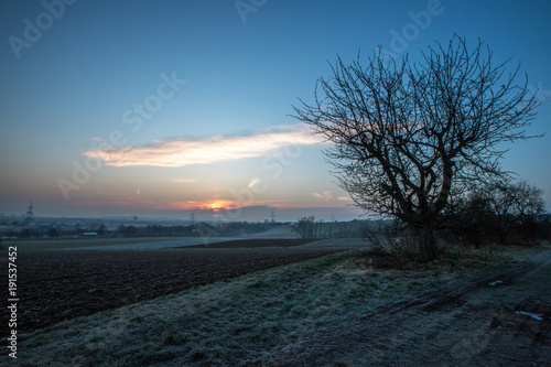 Winterlandschaft am Morgen in den Feldern Rheinhessens