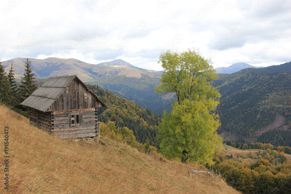 a lonely house on a hillside, Carpathians