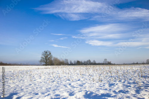 Turopolje winter landscape