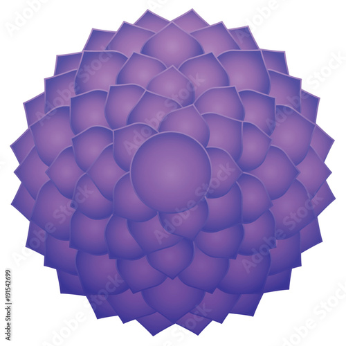 Thousand petaled lotus or purple Sahasraha crown chakra. Spiritual healing symbol. Isolated vector illustration on white background.