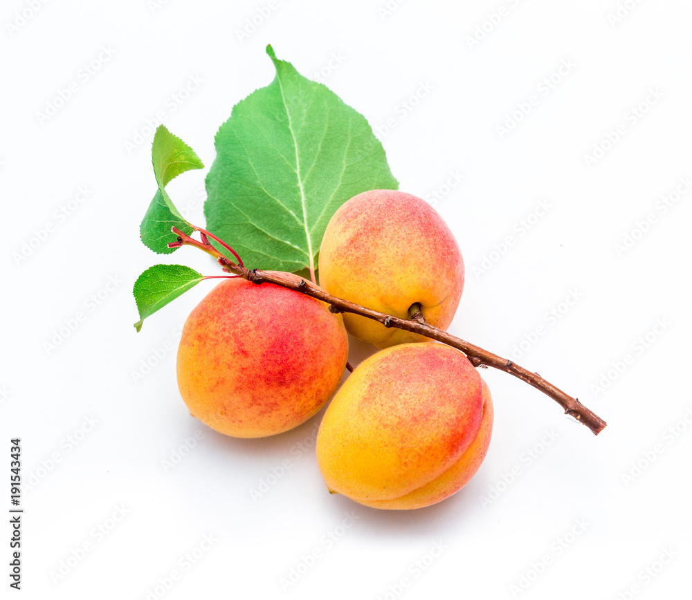 Ripe bunch of apricots on branch with leaves, isolated on white. Ripe bunch of apricots on branch with leaves, isolated on white.