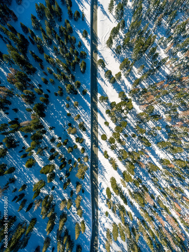 Mammoth Mountain Scenic Loop
