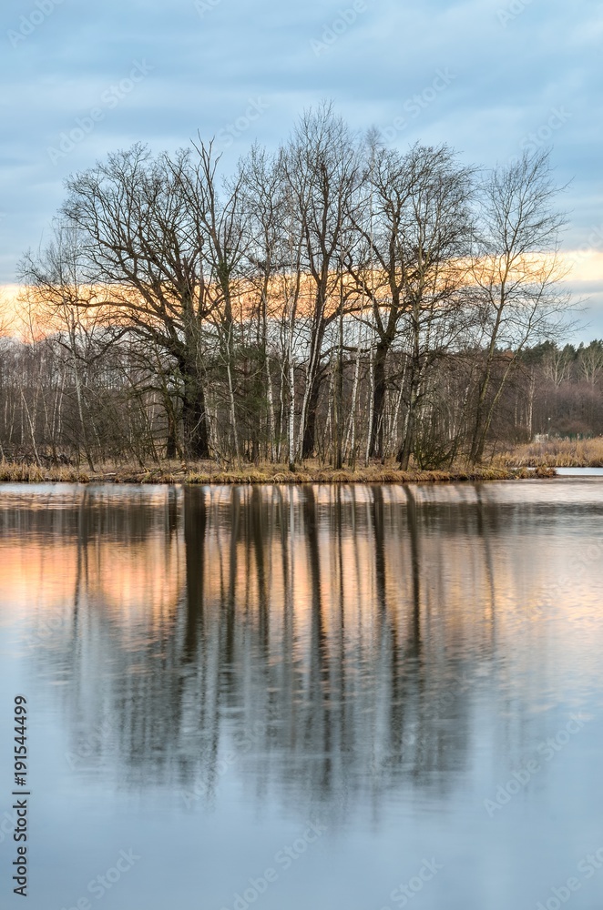 Winter morning landscape. Islet on the lake in the morning scenery.