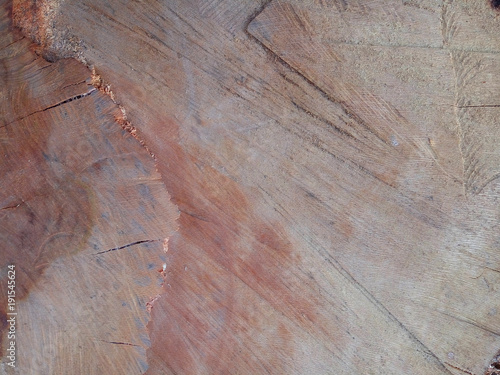 Texture of a freshly choppe...