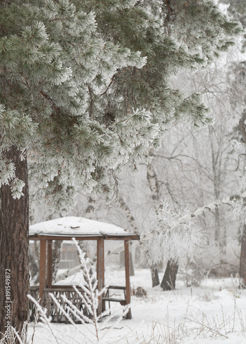 Wallpaper Mural winter forest Torontodigital.ca