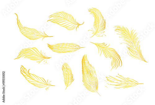 Collection of hand drawn feather. Set of decorative animals birds feathers. Hand drawn vector art. Brush pen gold ink illustration