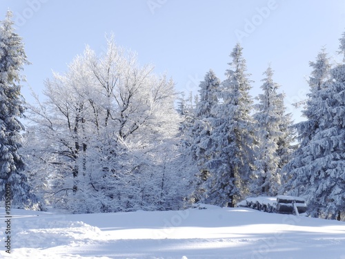zimowy piękny dzień. krajobraz w Beskidach