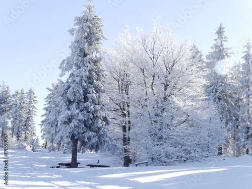 Fototapeta Naklejka Na Ścianę i Meble -  zimowy piękny dzien. krajobraz w Beskidach