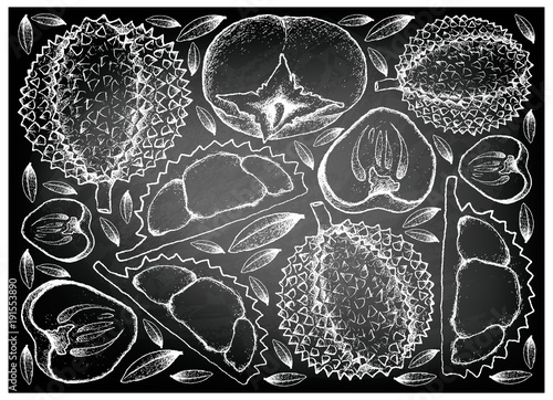 Hand Drawn of Durian and Persimmon on Chalkboard Background