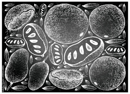 Hand Drawn of Wood Apple and Paw-Paw on Chalkboard
